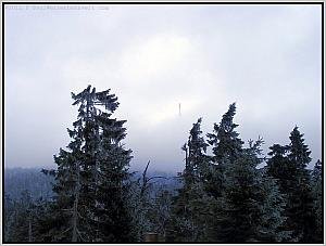 Zum Vergrößern auf das Bild klicken! Dort können Sie auch blättern und die Bildunterschriften lesen! Brockenblick