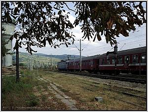 41 0710 Salva