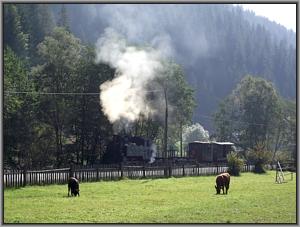 Zum Vergrößern auf das Bild klicken! Dort können Sie auch blättern und die Bildunterschriften lesen!