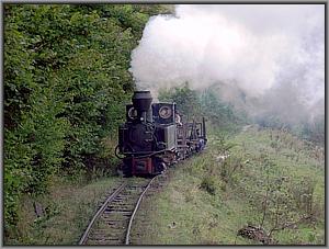 763 193 zwischen Valea Scradei und Priboaia