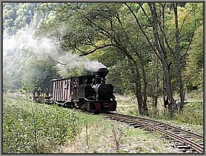 764 211 zwischen Glimboca und Cozia