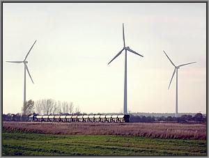 204 016 mit DGS 95062 zwischen Neuburxdorf und Brottewitz