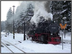 99 7238 in Drei Annen Hohne