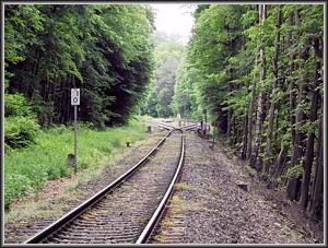 Zum Vergrößern auf das Bild klicken! Dort können Sie auch blättern und die Bildunterschriften lesen! Abzw. Hochspeyer Nord