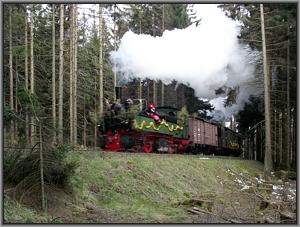 Zum Vergrößern auf das Bild klicken! Dort können Sie auch blättern und die Bildunterschriften lesen! 99 5902 mit dem Walpurgis-Sonderzug nach Schierke kurz vor dem Ziel