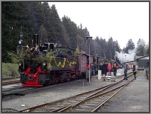 Zum Vergrößern auf das Bild klicken! Dort können Sie auch blättern und die Bildunterschriften lesen! 99 5902 mit dem Walpurgis-Sonderzug in Schierke