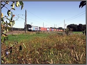 186 433 mit DGS 43310 nach Hamburg Waltershof