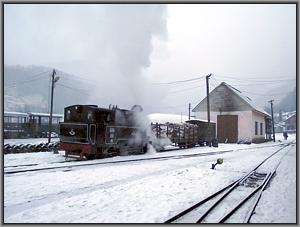 764 421 in Viseu de Sus