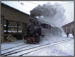 764 421 in Viseu de Sus