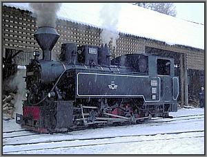 764 421 in Viseu de Sus
