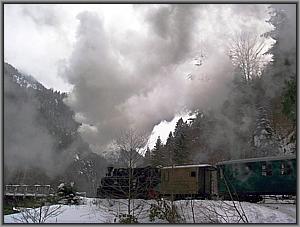 764 421 in Novicior