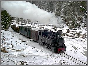 764 421 vor Paltin