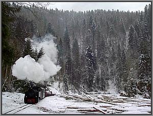 764 421 vor Paltin