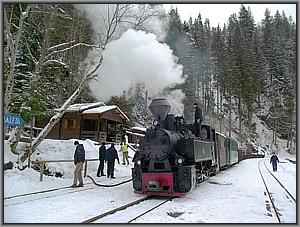 764 421 in Paltin