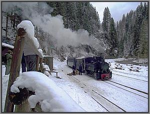 764 421 in Paltin