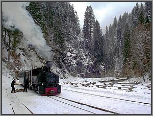 764 421 in Paltin