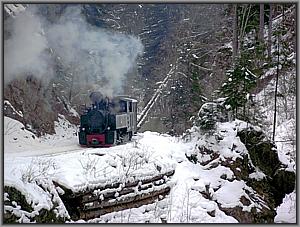 764 421 zwischen Bardau und Botizu