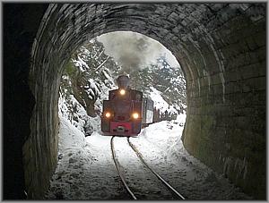 764 421 im Tunnel zwischen Bardau und Botizu