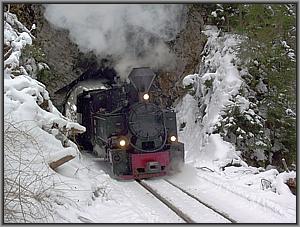 764 421 am Tunnel zwischen Bardau und Botizu