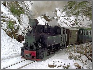 764 421 zwischen Bardau und Botizu
