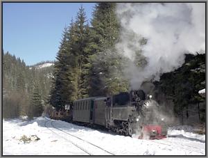 764 421 in Valea Babii