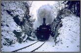 99 5906 vor Alexisbad
