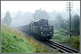 50 3646 erreicht mit Ng 64342 den Bf Wolkenstein