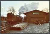 50 3556 in Langenweddingen