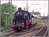 58 311 in Neustadt/Weinstrae