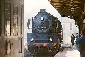 50 3616 in Falkenstein (V)